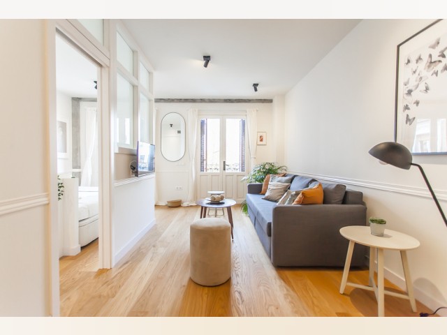 Spain furnished Apartment in Madrid, Madrid