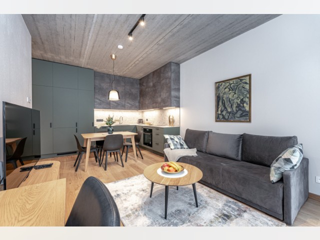 Wohnung Möblierte Langzeitmiete in Vilnius