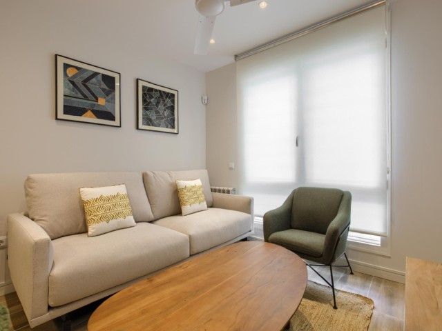 Spain furnished Apartment in Madrid, Madrid