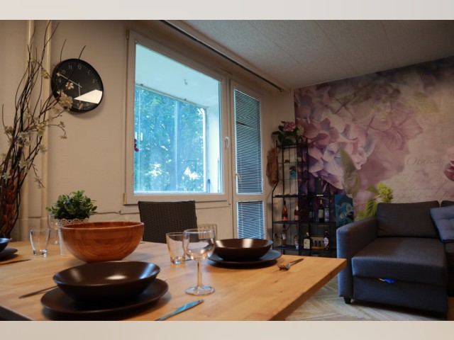 Czech Republic furnished Apartment in Bohemia, Prague