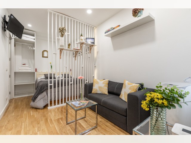 Spain furnished Apartment in Madrid, Madrid