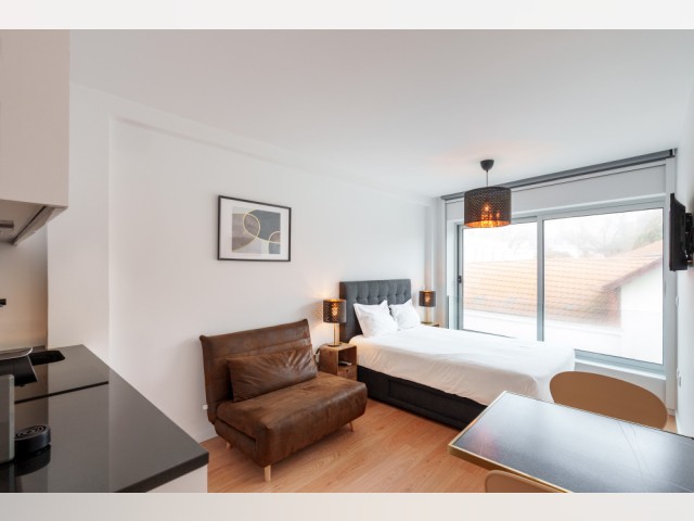 Portugal furnished Apartment in Porto-North Portugal, Porto Oporto