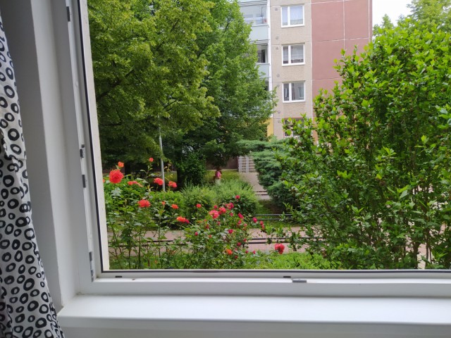 Prague Apartment for rent
