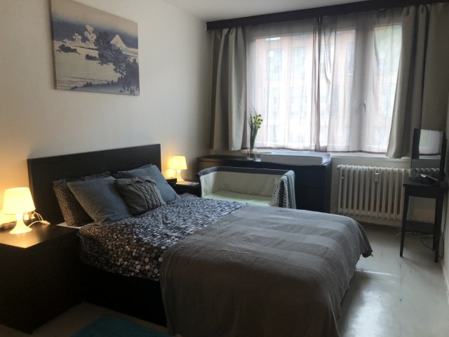 Czech Republic furnished Apartment in Bohemia, Prague