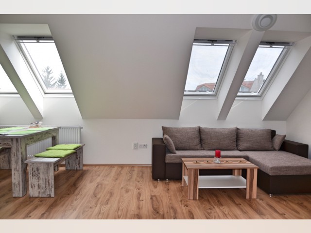 Czech Republic furnished Apartment in Brno, Brno