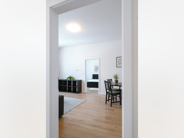 Czech Republic furnished Apartment in Bohemia, Prague