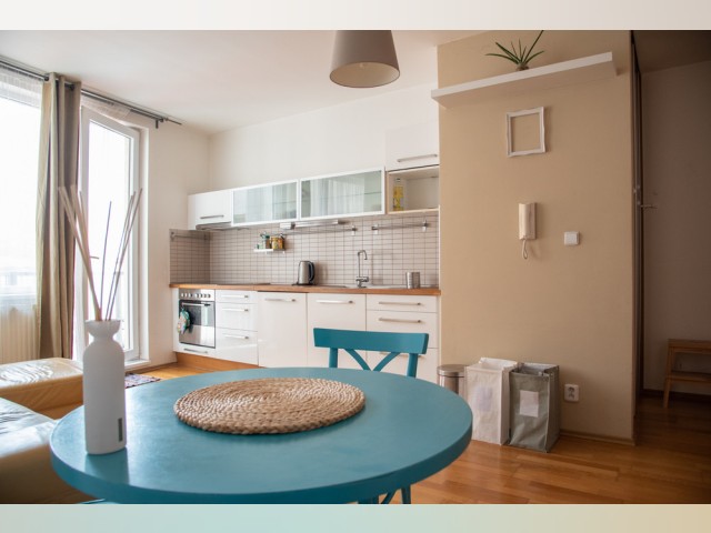 Prague Apartment for rent