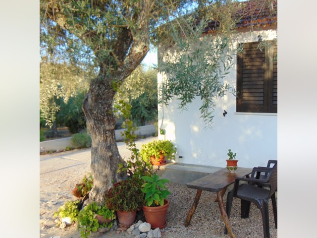 Portugal furnished Villa-House in Lisboa-Tagus Valley, Coruche