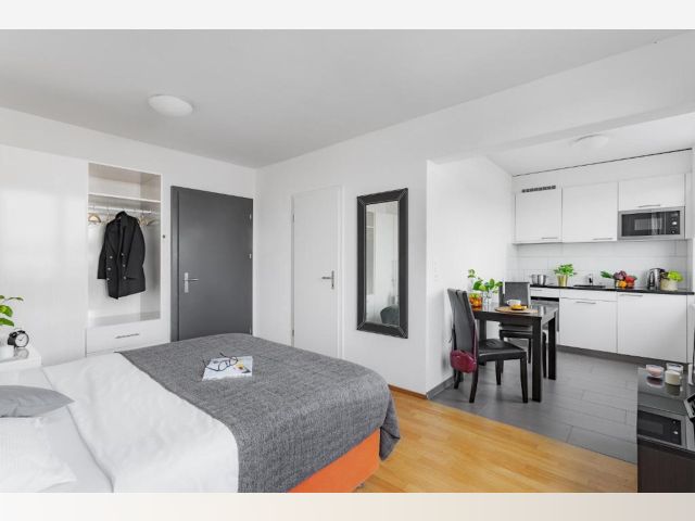 Switzerland furnished Apartment in Zurich, Zurich