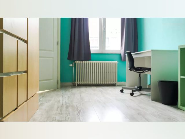 Belgium furnished Room in Brussels, Ixelles