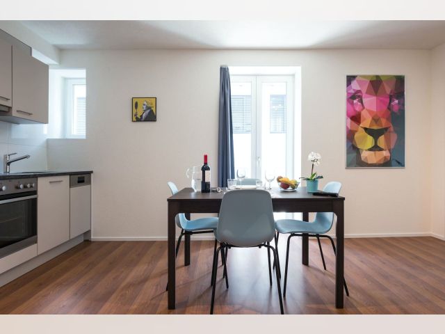 Switzerland furnished Apartment in Zurich, Zurich