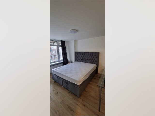 Vlaardingen Room for rent