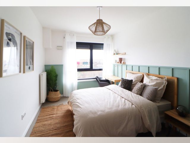 France furnished Room in Paris-Isle-of-France, Paris
