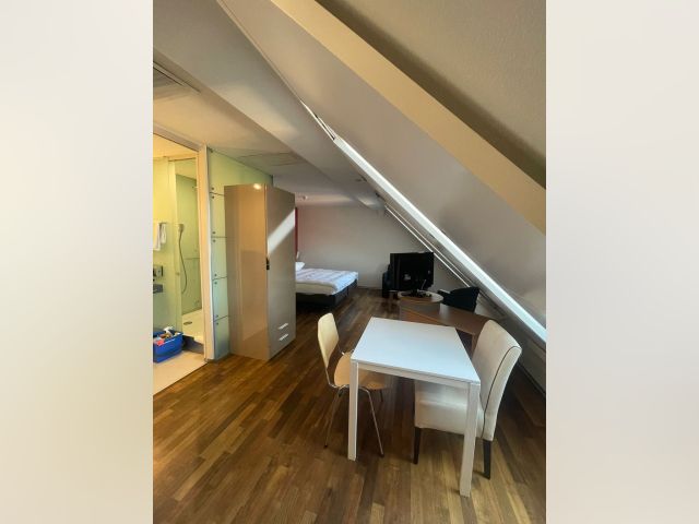 Switzerland furnished Apartment in Zurich, Zurich