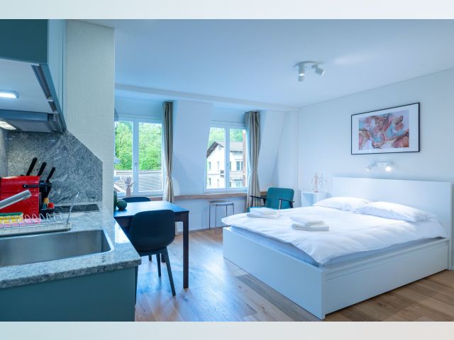 Switzerland furnished Apartment in Zurich, Zurich