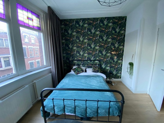 Netherlands furnished Room in South Holland, Rotterdam
