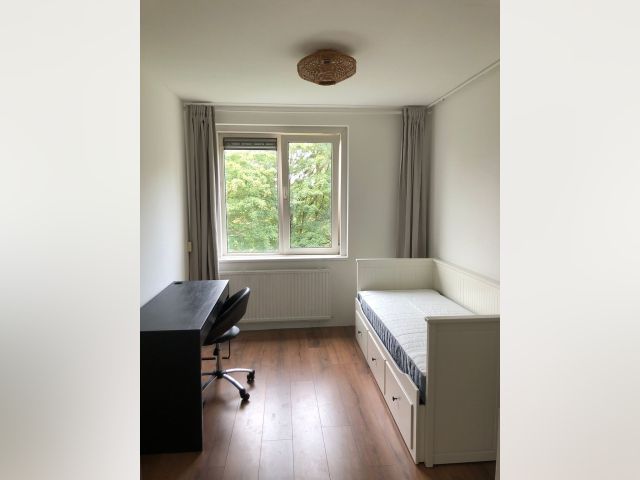 Amsterdam Room for rent