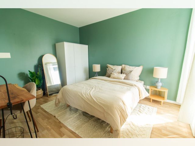 France furnished Room in Paris-Isle-of-France, Paris