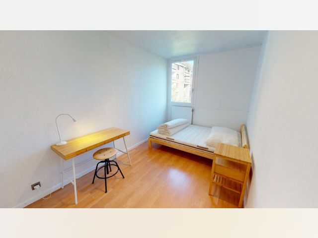 Grenoble Room for rent