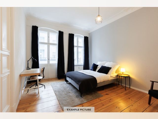 France furnished Room in Paris-Isle-of-France, Montreuil