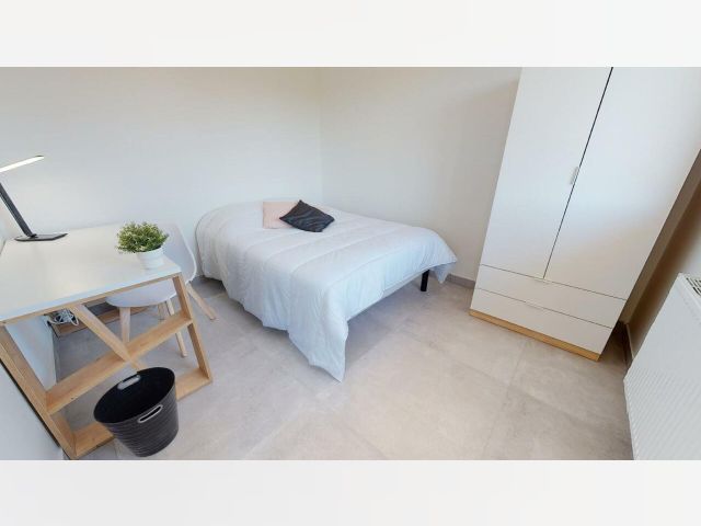 France furnished Room in Rhone-Alpes, Bron