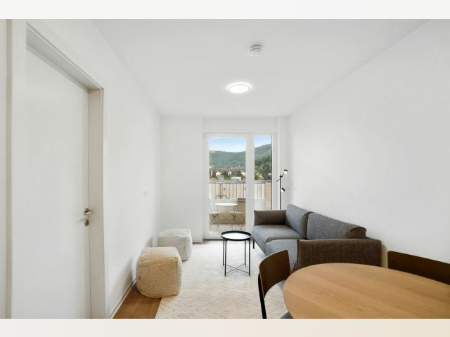 Austria furnished Apartment in Styria, Graz