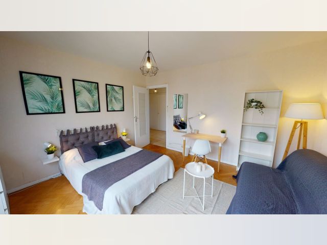 France furnished Room in Rhone-Alpes, Lyon