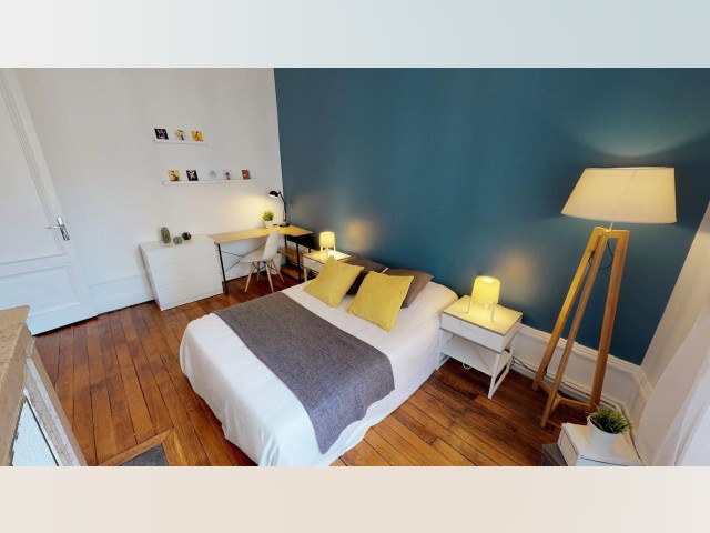 France furnished Room in Rhone-Alpes, Lyon