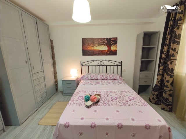 Spain furnished Room in Valencia, Elche