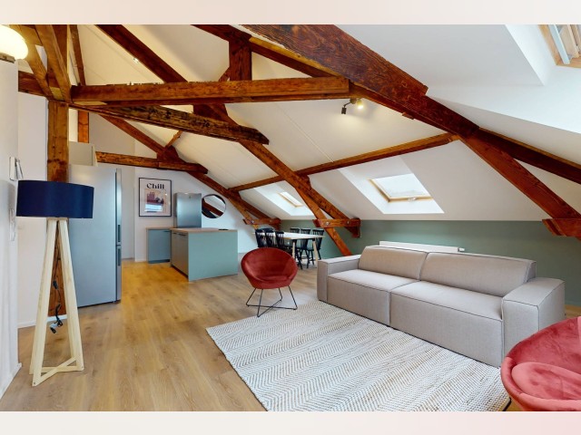 Belgium furnished Room in Brussels, Brussels