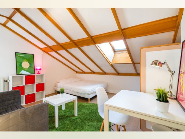 France furnished Room in Rhone-Alpes, Lyon
