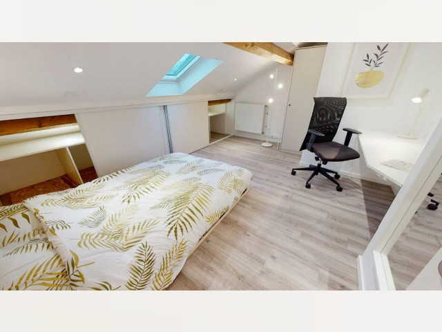 France furnished Room in Rhone-Alpes, Bron