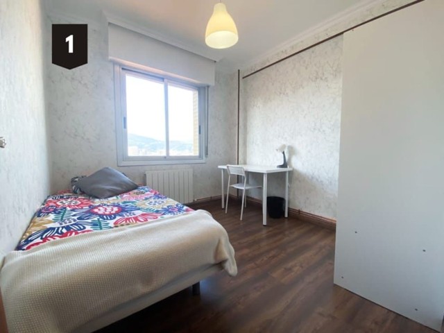 Spain furnished Room in Basque Country, Bilbao