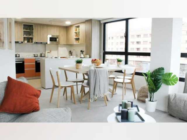 Spain furnished Room in Navarra, Pamplona