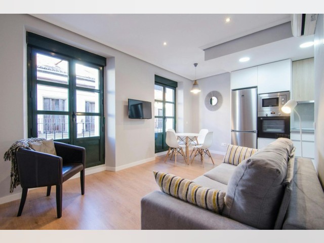 Spain furnished Apartment in Madrid, Madrid