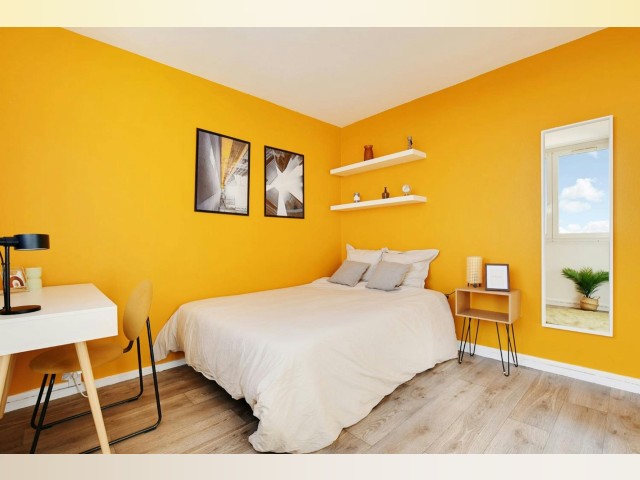 France furnished Room in Paris-Isle-of-France, Le Kremlin-Bicetre