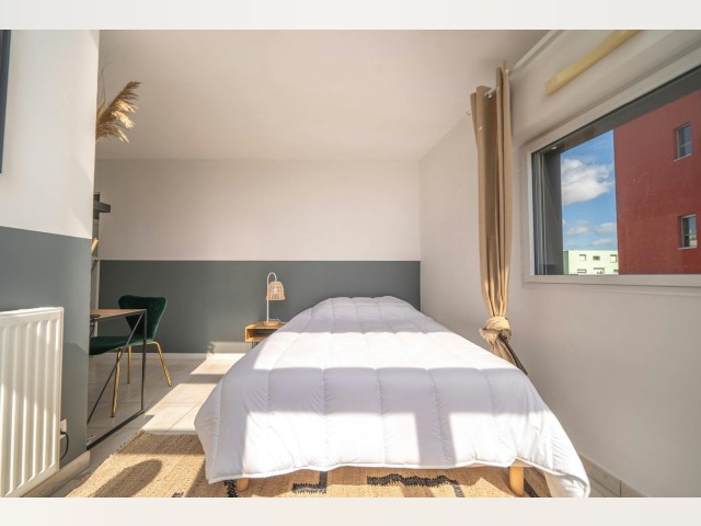 France furnished Room in Pays de la Loire, Nantes