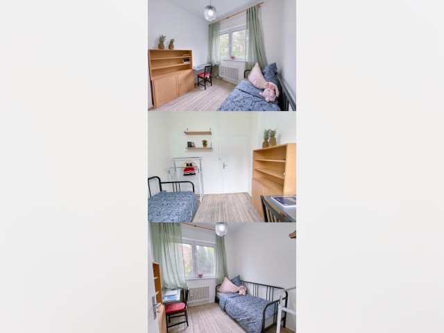 Germany furnished Room in Berlin, Berlin