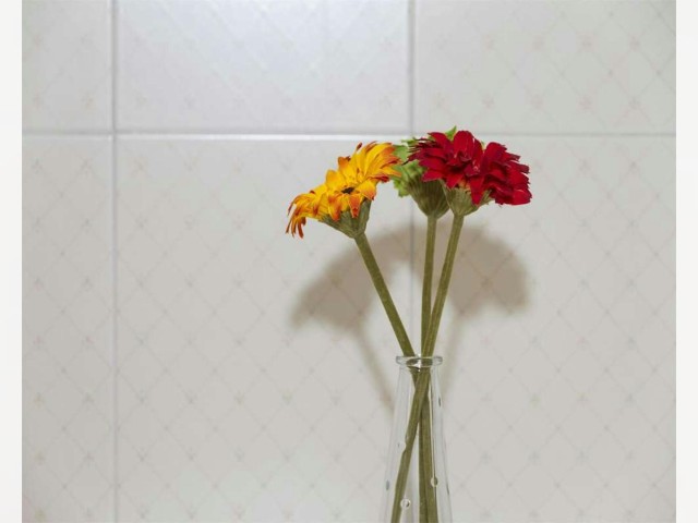 Italy furnished Room in Lombardy, Milan