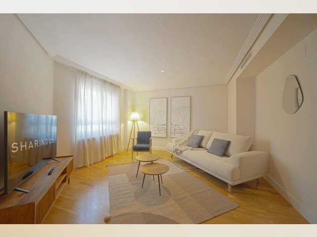 Spain furnished Apartment in Madrid, Madrid