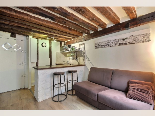France furnished Apartment in Paris-Isle-of-France, Paris