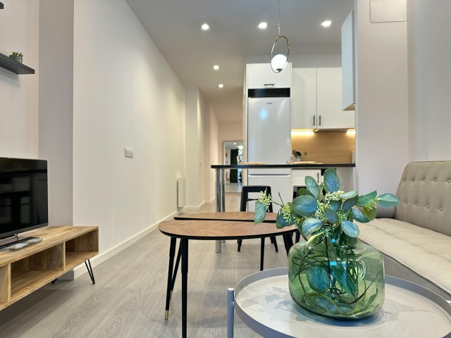 Spain furnished Apartment in Madrid, Madrid