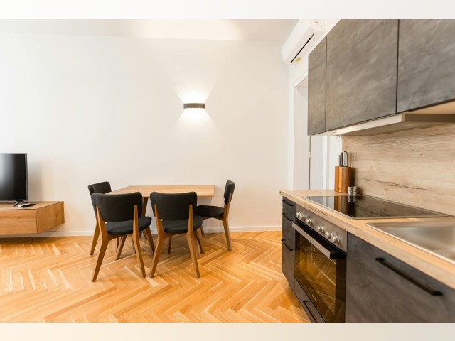 Austria furnished Apartment in Vienna, Vienna