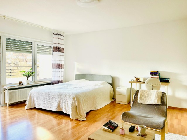 Appartement Gemeubileerd Lange termijn verhuur in Heidelberg