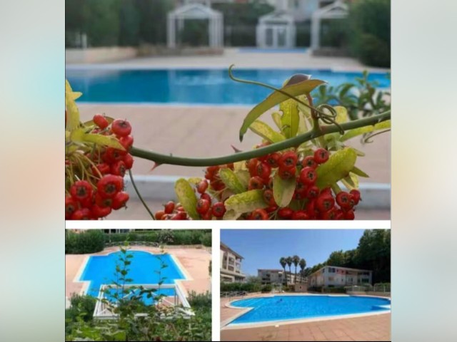 Cagnes-sur-Mer Apartment for rent