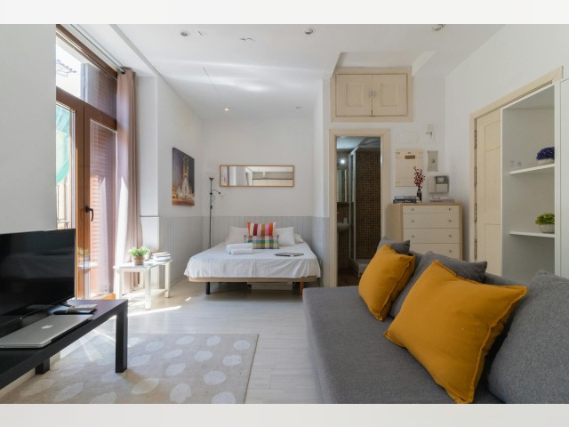 Spain furnished Apartment in Madrid, Madrid