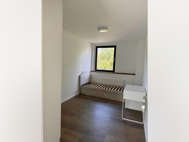 Germany furnished Room in North Rhine-Westphalia, Cologne