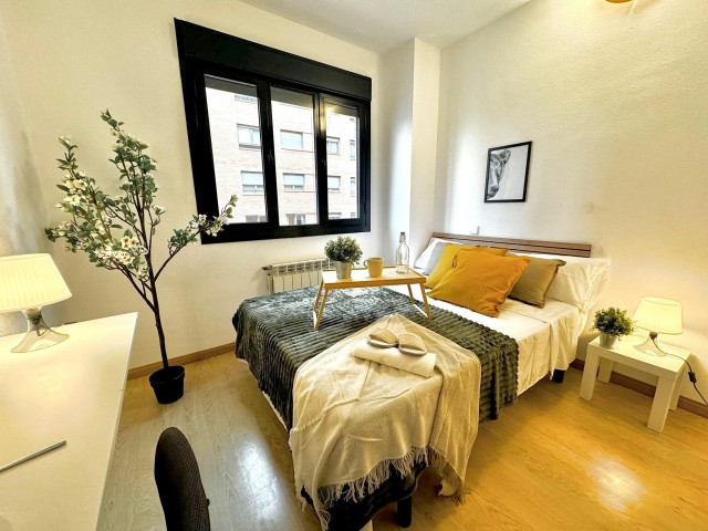 Spain furnished Room in Madrid, Madrid