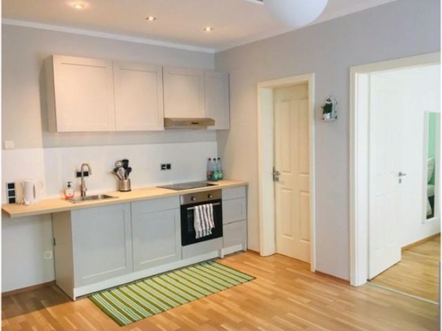 Leipzig Apartment for rent