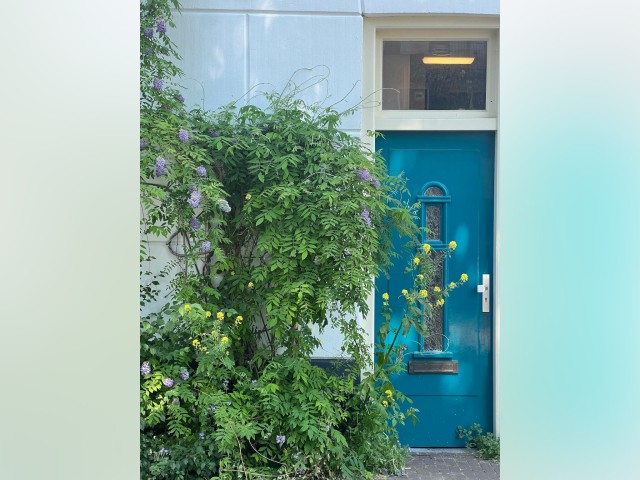Netherlands furnished Room in North Holland, Amsterdam